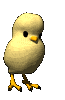 Chick