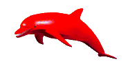 Decorative dolphin gif